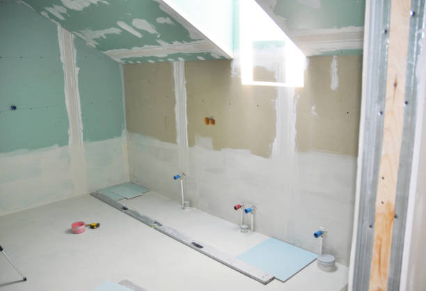 Best Mold Damage Restoration  in Brownsburg, IN