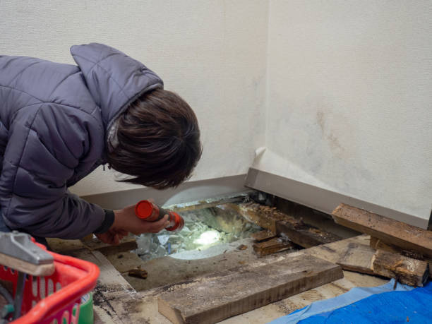 Best Comprehensive Air Testing for Mold Contaminants  in Brownsburg, IN