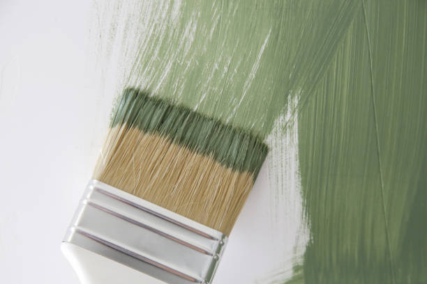 Best Mold Documentation for Insurance Claims  in Brownsburg, IN