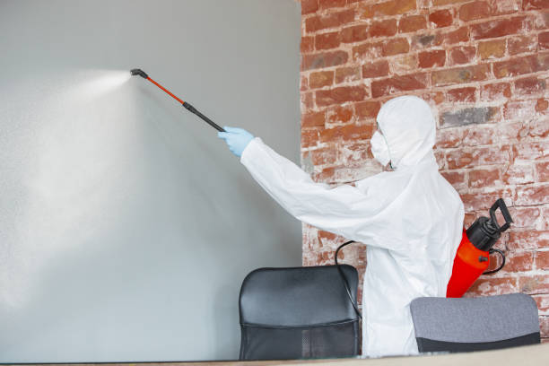 Best HVAC Mold Inspection and Cleaning  in Brownsburg, IN