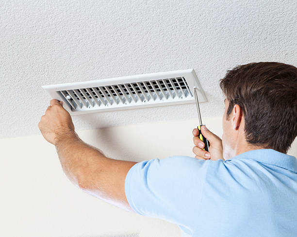 Best Basement Mold Removal  in Brownsburg, IN