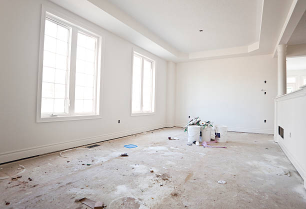 Professional Mold Removal in Brownsburg, IN