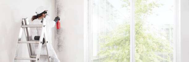 Dehumidification Services in Brownsburg, IN