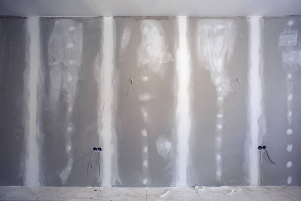 Best Real Estate Mold Inspection  in Brownsburg, IN